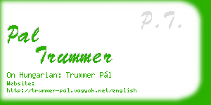 pal trummer business card