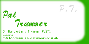 pal trummer business card